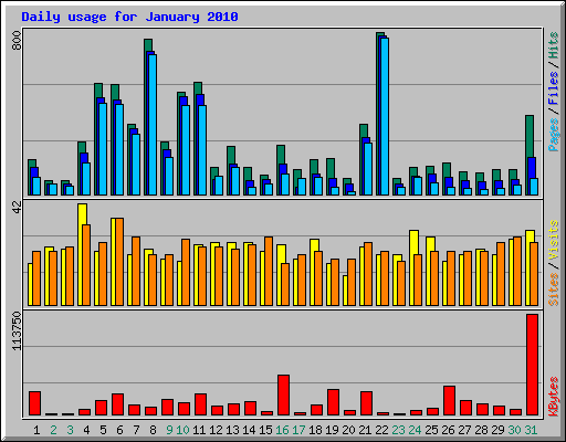 Daily usage for January 2010