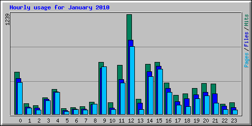 Hourly usage for January 2010