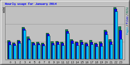 Hourly usage for January 2014