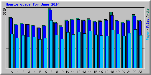 Hourly usage for June 2014