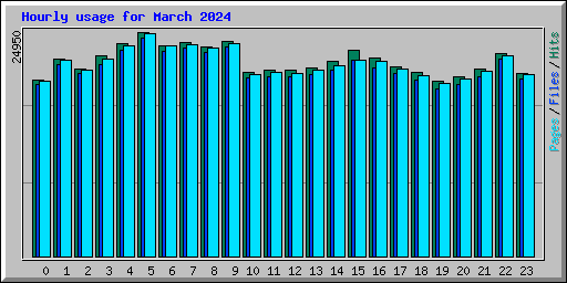 Hourly usage for March 2024