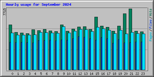 Hourly usage for September 2024
