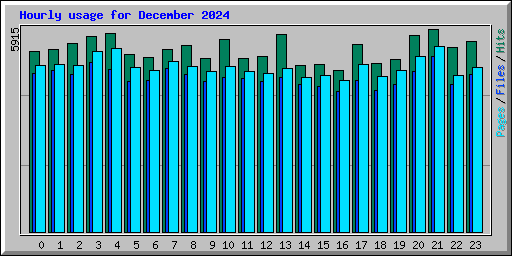 Hourly usage for December 2024