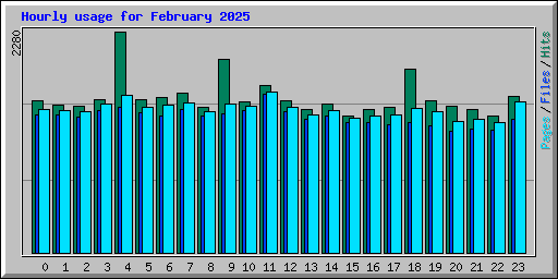 Hourly usage for February 2025