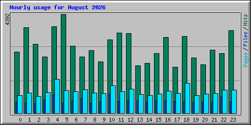 Hourly usage for August 2026